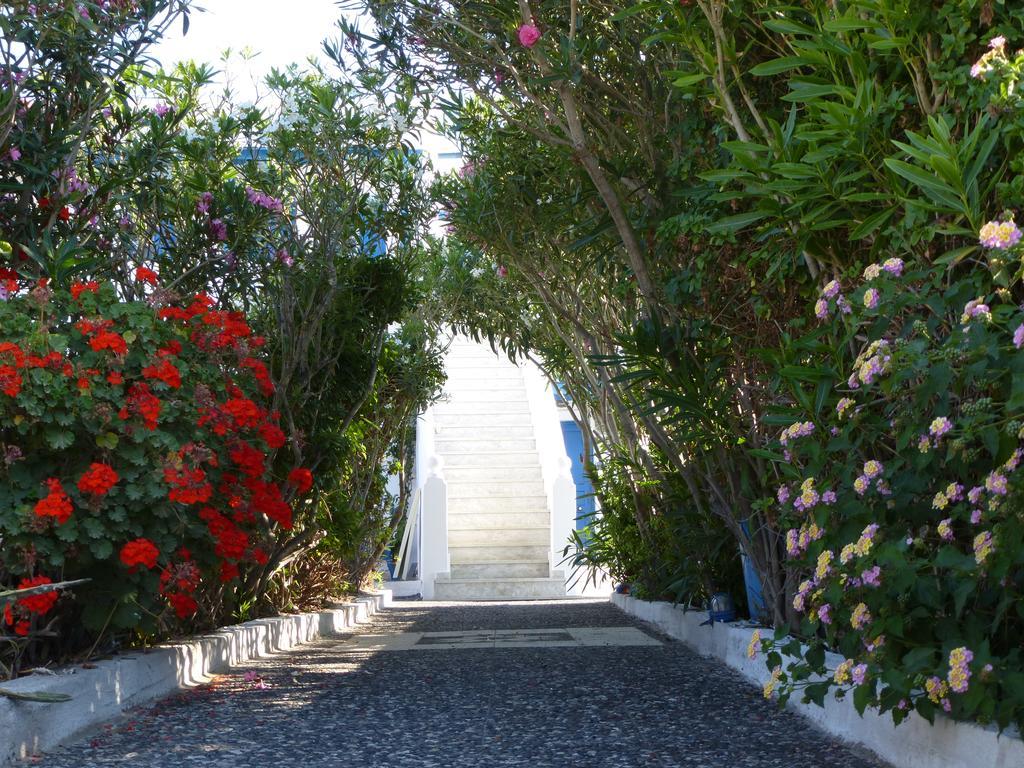 Thira'S Dolphin Aparthotel Akrotírion Kültér fotó
